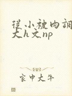 从小被肉调教到大h文np