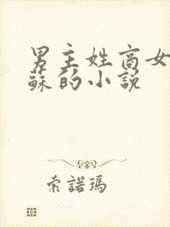 男主姓商女主姓苏的小说