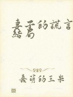 妻子的谎言小说结局