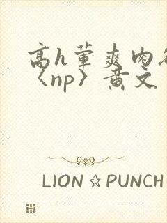 高h荤爽肉欲文〈np〉黄文