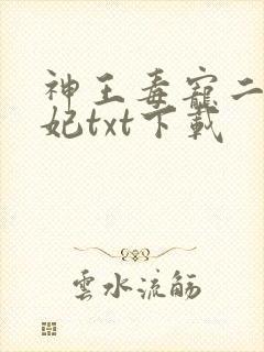神王毒宠二嫁王妃txt下载