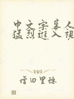 中文字幕人妻被猛烈进入视频封面