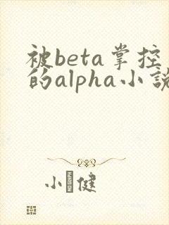 被beta掌控的alpha小说笔趣阁