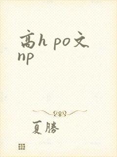 高h po文 np