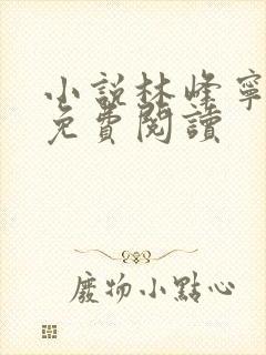 小说林峰宁欣之免费阅读