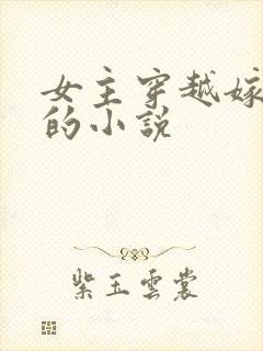 女主穿越嫁张良的小说封面