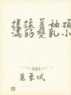 搓揉着她硕大丰满的双乳小说封面