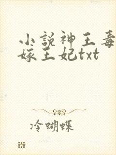 小说神王毒宠二嫁王妃txt