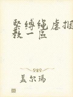 紧缚绳虐捆绑调教一区