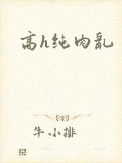 高h纯肉乱