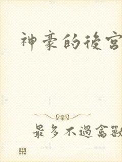 神豪的后宫日常