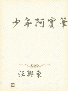 少年阿宾笔趣阁