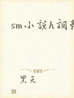 sm小说h调教封面