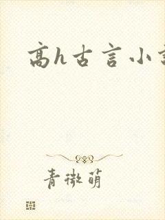 高h古言小说