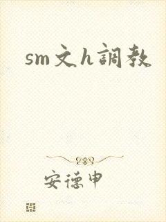 sm文h调教