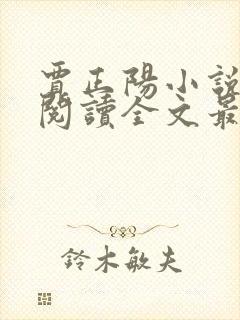 贾正阳小说免费阅读全文最新章节