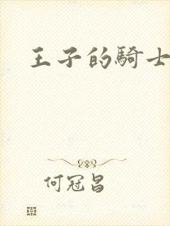 王子的骑士小说