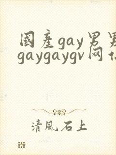国产gay男男gaygaygv网站