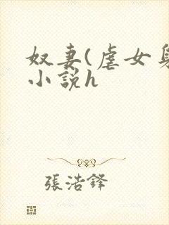 奴妻(虐女身)小说h