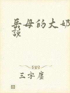 岳母的大奶子小说封面