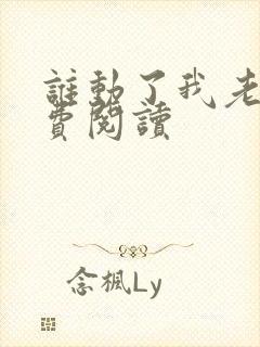 谁动了我老婆免费阅读