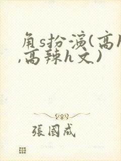 角s扮演(高h,高辣h文)