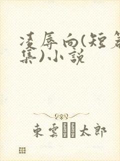 凌辱向(短篇合集)小说封面