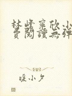 林峰宁欣小说免费阅读无弹窗