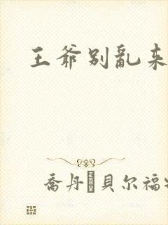 王爷别乱来全文封面