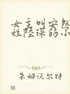 女主叫安然男主姓陆琛的小说