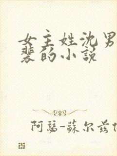 女主姓沈男主姓裴的小说封面