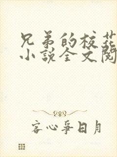 兄弟的校花女友小说全文阅读