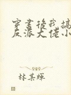 穿书后我搞到了反派大佬小火子封面