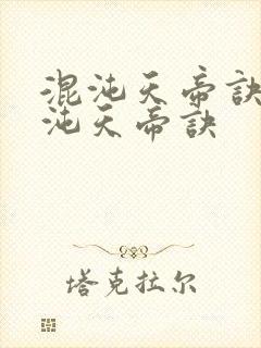 混沌天帝诀之混沌天帝诀封面