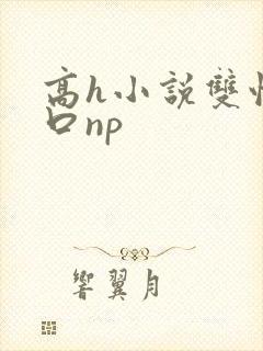 高h小说双性重口np