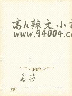 高h辣文小说网 www.94004.com
