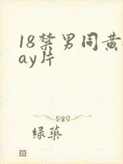 18禁男同黄gay片