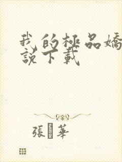 我的极品娇妻小说下载