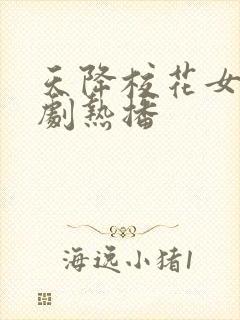 天降校花女友短剧热播