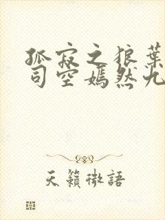 孤寂之狼叶凡与司空嫣然九十章