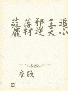 苏落邪王追妻:废材逆天小姐字数