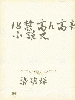 18禁高h高辣小说文