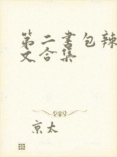第二书包辣网辣文合集
