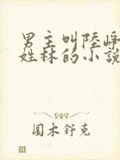 男主叫陆峥女主姓林的小说封面
