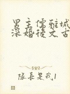 男主儒雅城府极深婚后文古言封面