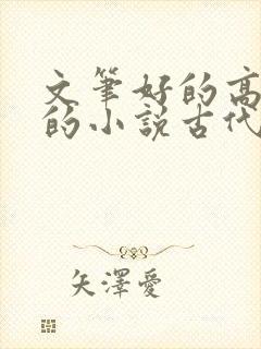 文笔好的高质量的小说古代言情推荐封面