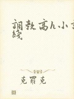 调教高h小说在线封面