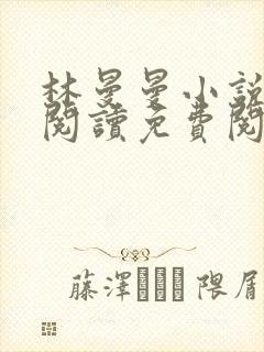 林曼曼小说全文阅读免费阅读全文