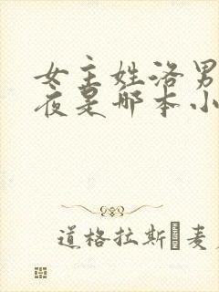 女主姓洛男主姓夜是哪本小说