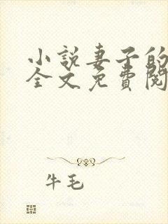 小说妻子的秘密全文免费阅读封面